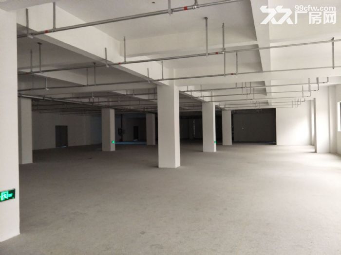 藤桥工业区标准厂房2600平方诚租，适合各行各业-图3