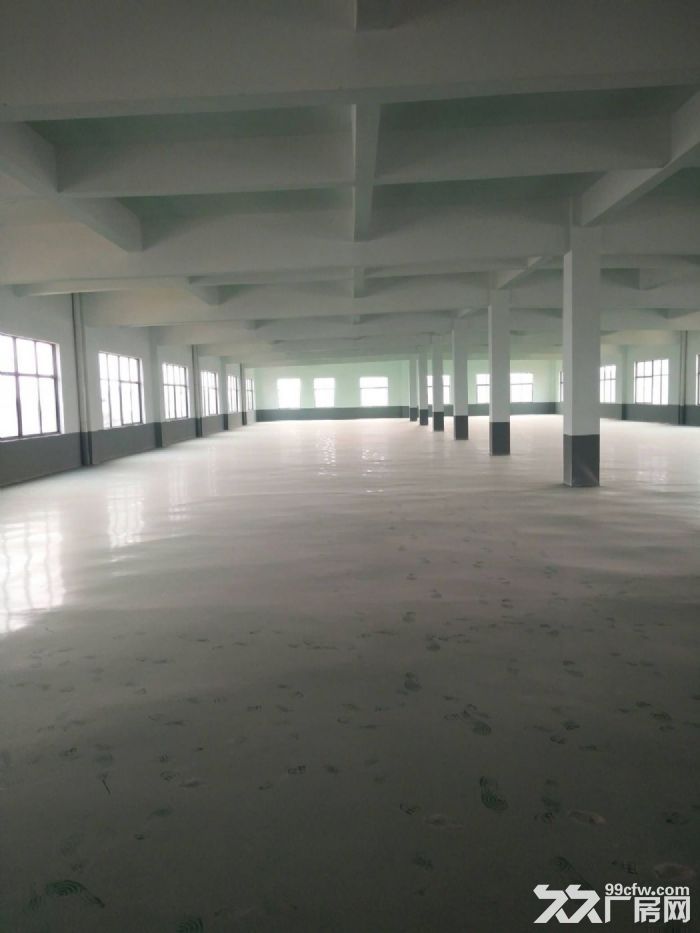 藤桥工业区标准厂房2600平方诚租，适合各行各业-图5