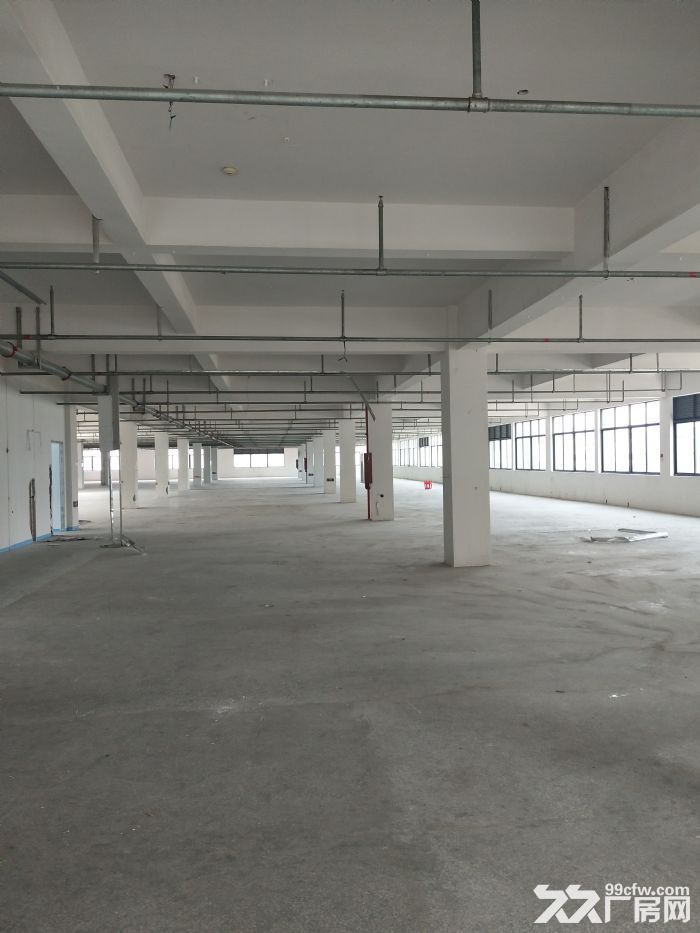 高翔工业区2楼1600平方，适合仓库，可用-图4