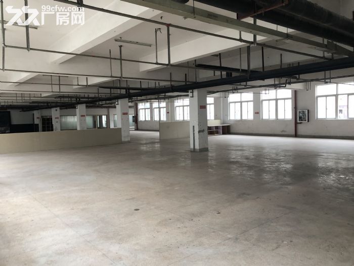 龙湾高新技术产业开发区框架厂房1250平 交通便利招人方便-图4