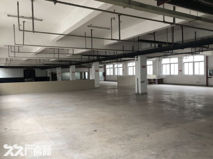 温州大道钱江路马路旁1000平框架厂房出租，适合各行业