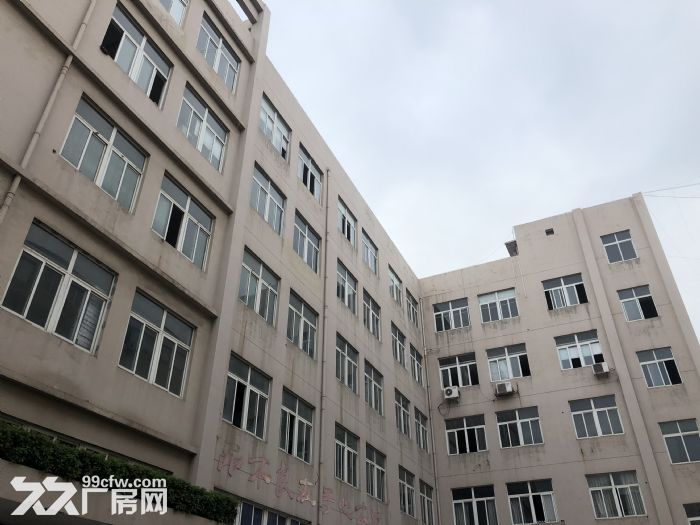 温州大道钱江路马路旁1000平框架厂房出租，适合各行业-图2