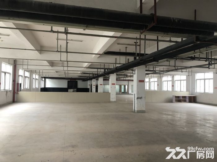 温州大道钱江路马路旁1000平框架厂房出租，适合各行业-图4