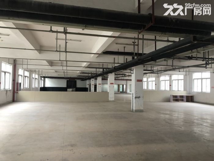 温州大道钱江路马路旁1000平框架厂房出租，适合各行业-图5