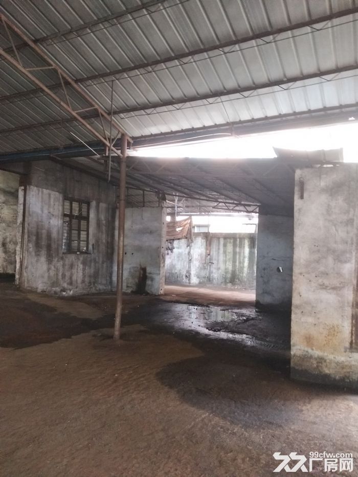 梧田铁棚1200平方出租，现有腾空 马上可用，-图3