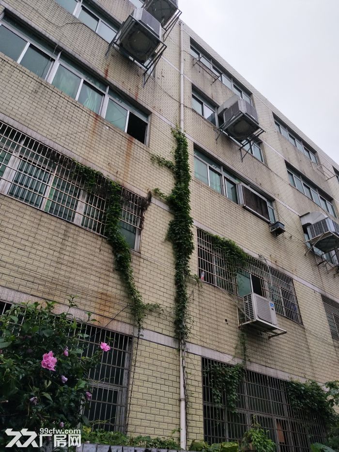 炬光园4000平方，适合轻工行业 ，无污染，