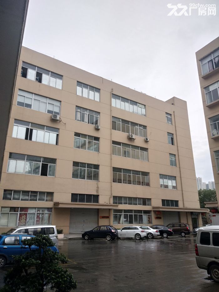 炬光园4楼550平方，适合轻工，已腾空