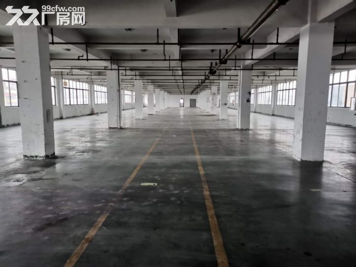 农业开发区6000方 带独立宿舍 宜服装 鞋 眼镜等-图2