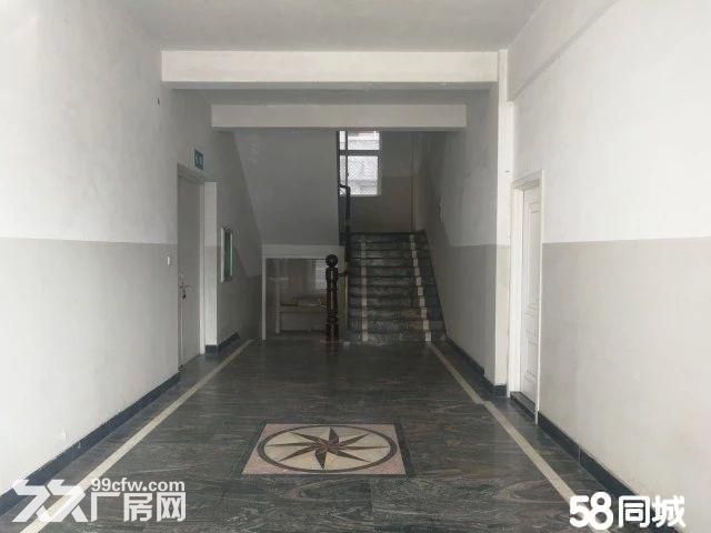 文昌路12000方，沿街厂房，形象好，宜总部经济、电商大楼等-图4