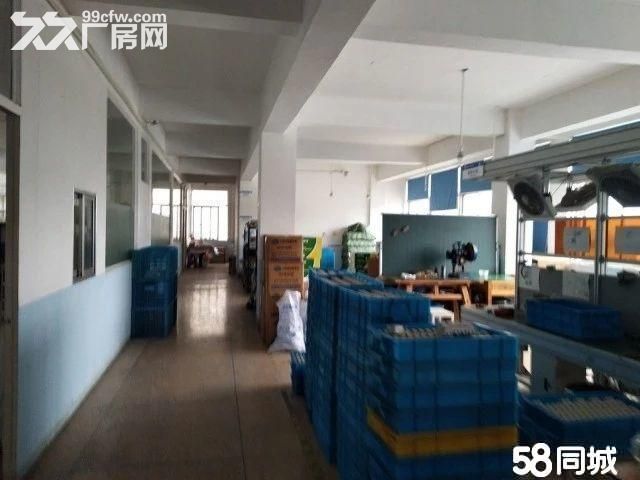 邻里中心2500方 独院 有电梯 停车方便 宜仓库 办公 电商-图6