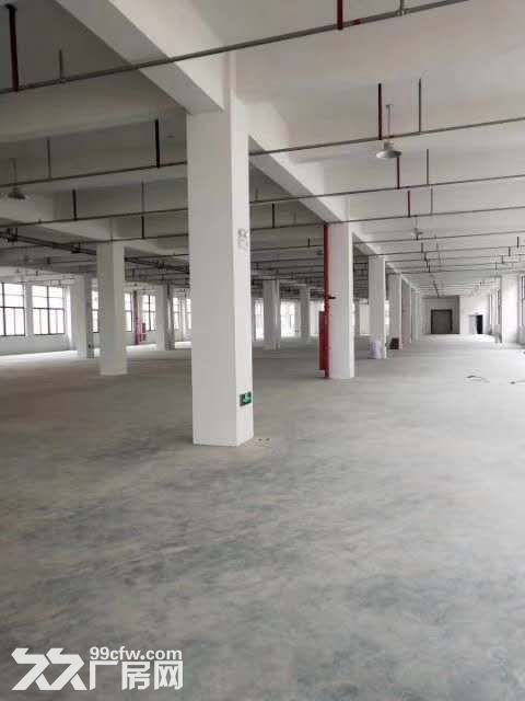 邻里中心9621方办公楼 可分租 厅大高调 一楼沿街店面-图5