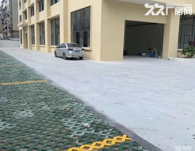 文昌路附近四楼1050㎡，位置好，宜仓库、电商、外贸-图3