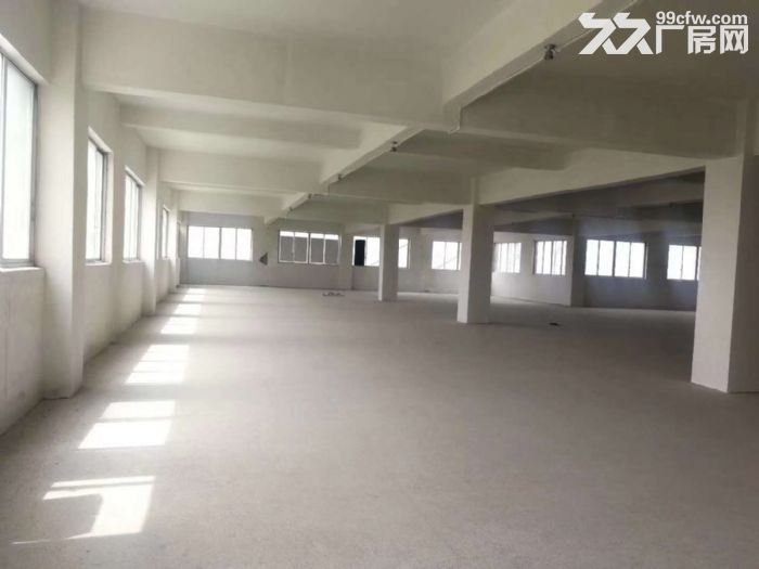 文昌路附近四楼1050㎡，位置好，宜仓库、电商、外贸-图6