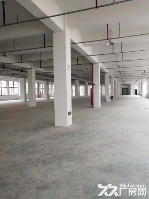 文昌路附近四楼1050㎡，位置好，宜仓库、电商、外贸-图5