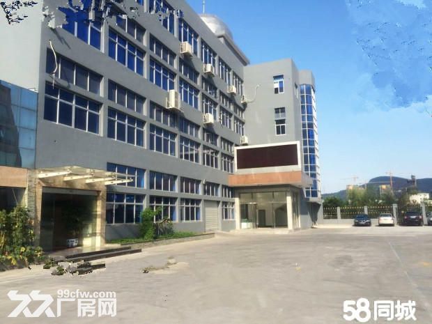 温州大道785方 精装办公 带200方露台 拎包办公