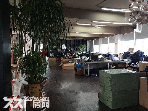 温州大道785方 精装办公 带200方露台 拎包办公-图3
