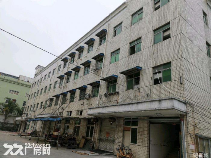 文昌路8400方 两栋 一楼店面 位置好 宜各行业需要-图4