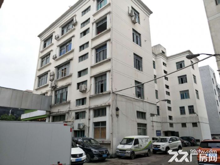 温州大道3037方 沿街展厅 可分租 宜办公 电商 行业