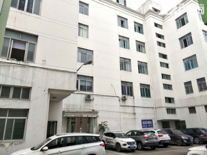 温州大道3037方 沿街展厅 可分租 宜办公 电商 行业-图4