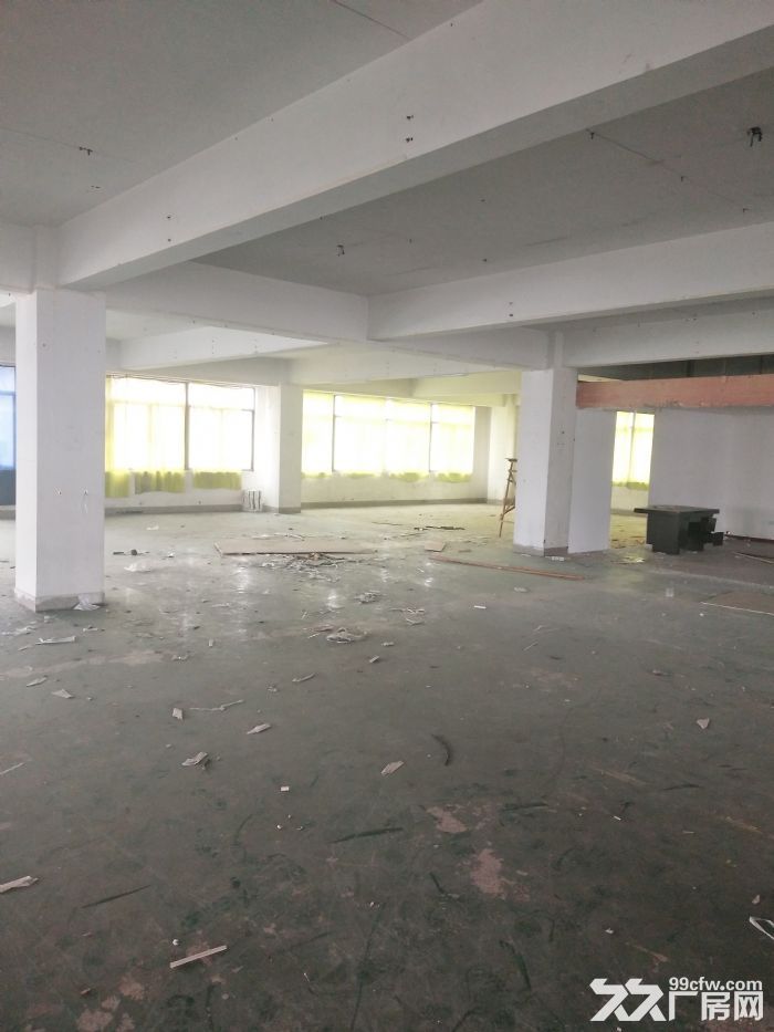 炬光园1700平方，适合轻工，生产，有需要联系-图2