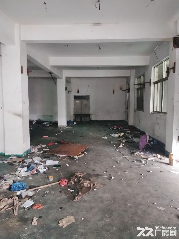 新桥1楼1350平方，可用-图3