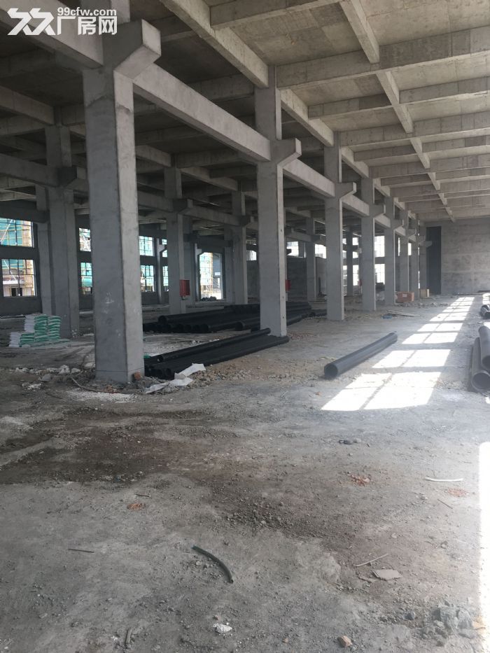 滨海出租1楼2000平马上可用适合各种行业