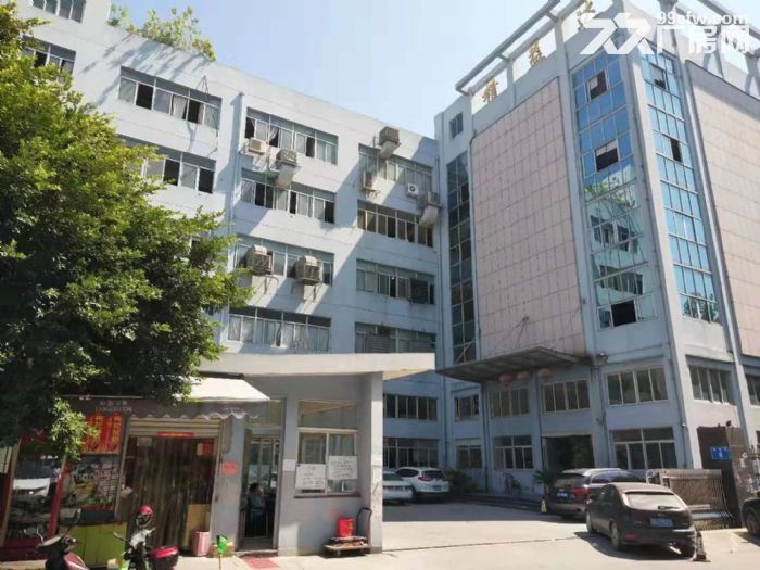 炬光园 3楼一个层面1500平方，货梯2吨