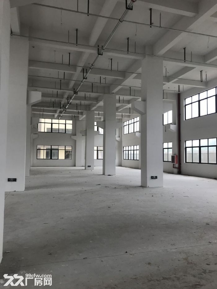 瑞安塘下罗凤工业区一楼1300平米，楼上1500平米出租适合各种行业-图2