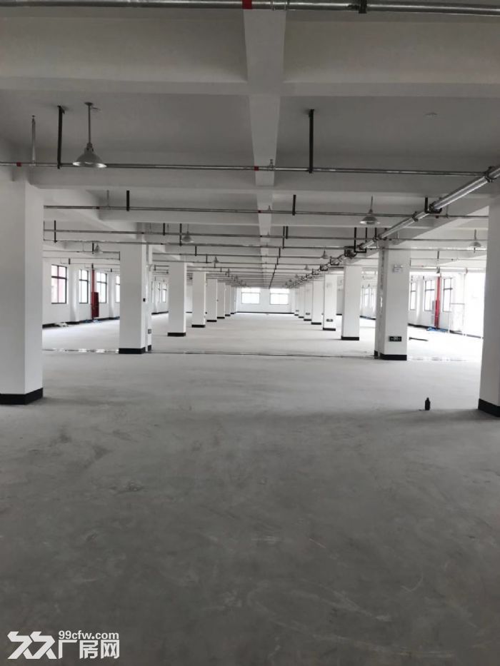 瑞安塘下罗凤工业区一楼1300平米，楼上1500平米出租适合各种行业-图6