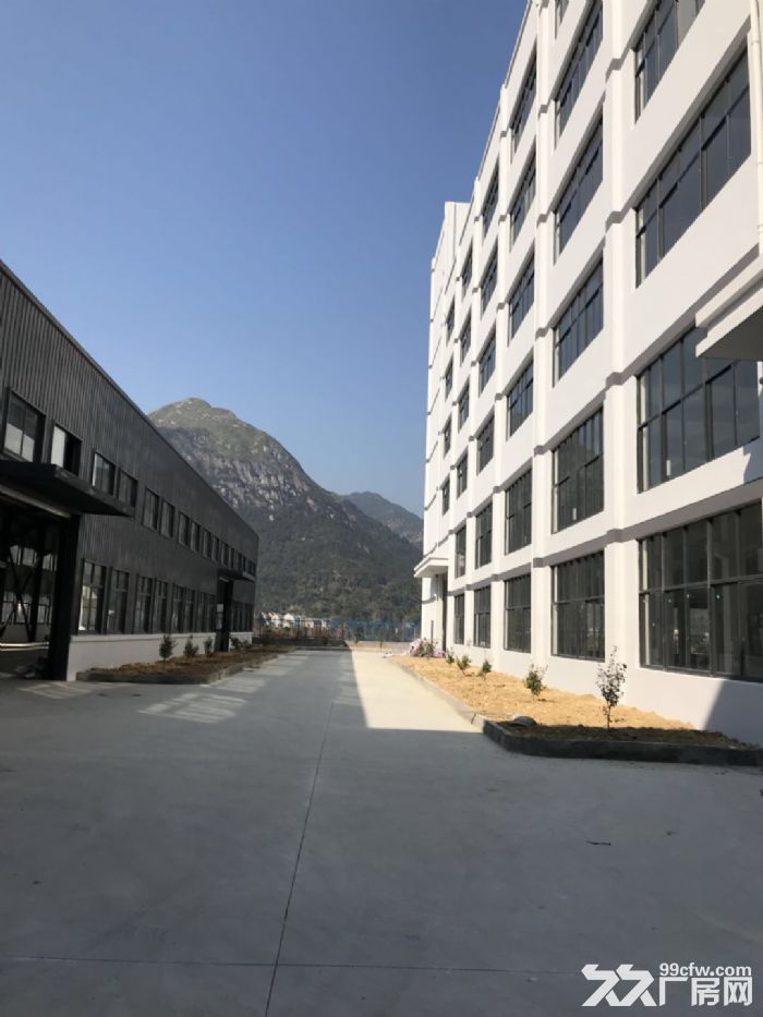 福鼎太姥山水井头工业区厂房3500平米出租适合各种行业-图5