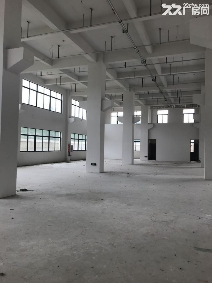 福鼎秦屿工业区一楼厂房3500平米出租，层高6.5米适合各种行业。-图4