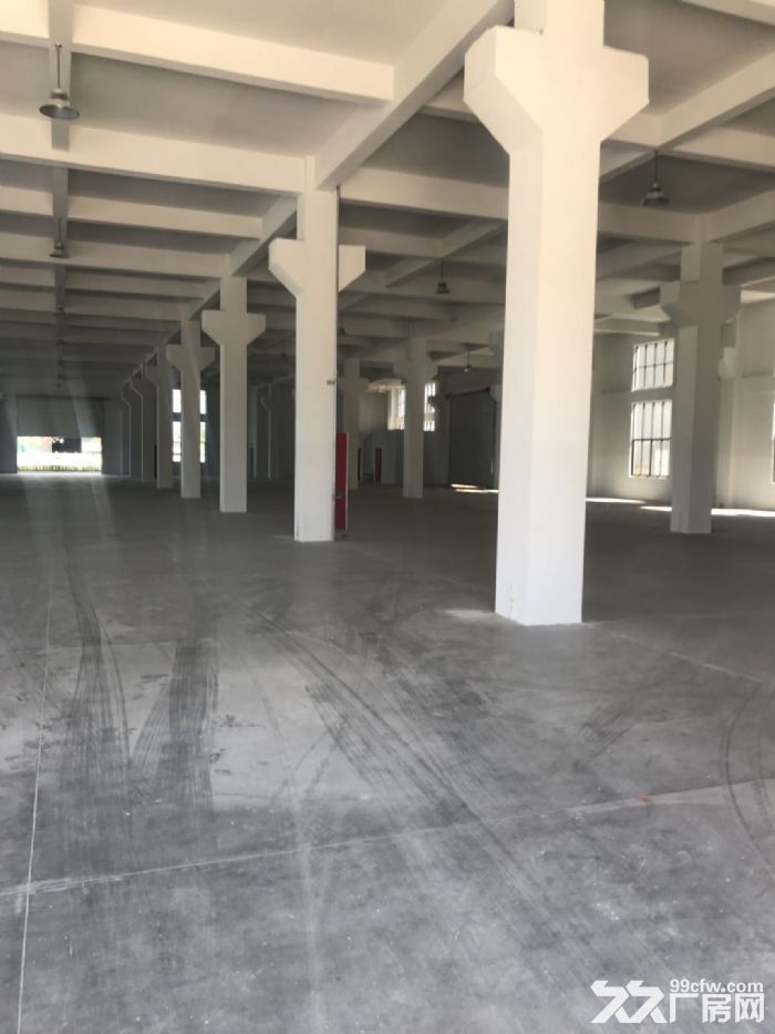 福鼎秦屿工业区一楼厂房3500平米出租，层高6.5米适合各种行业。-图3