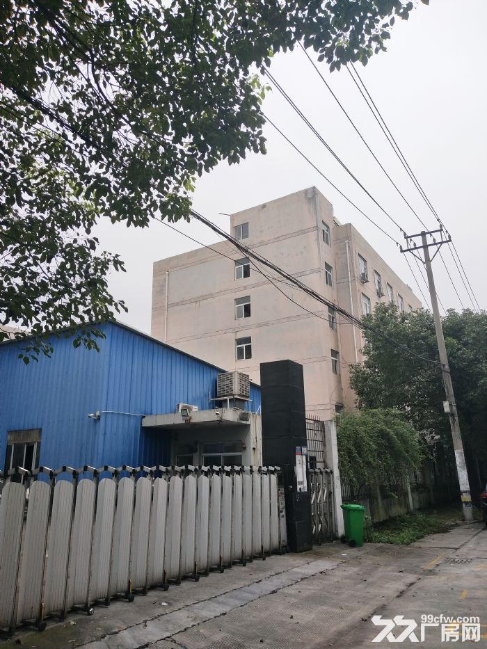 炬光园标准厂房1175平方，适合仓库，电商-图3