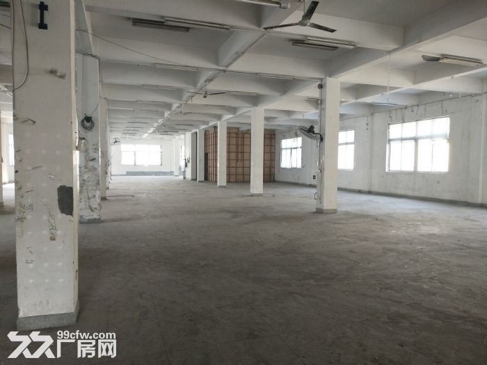 炬光园标准厂房1000平方，适合重轻工行业-图2