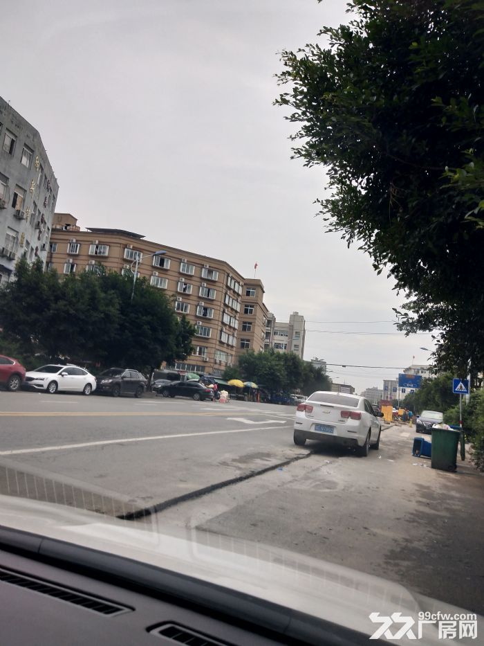 炬光园标准厂房300平方，适合仓库-图2